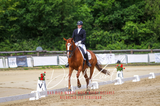 DKP47547 | Turniersportfotografie; Pferdefotografie; Dressurfotografie