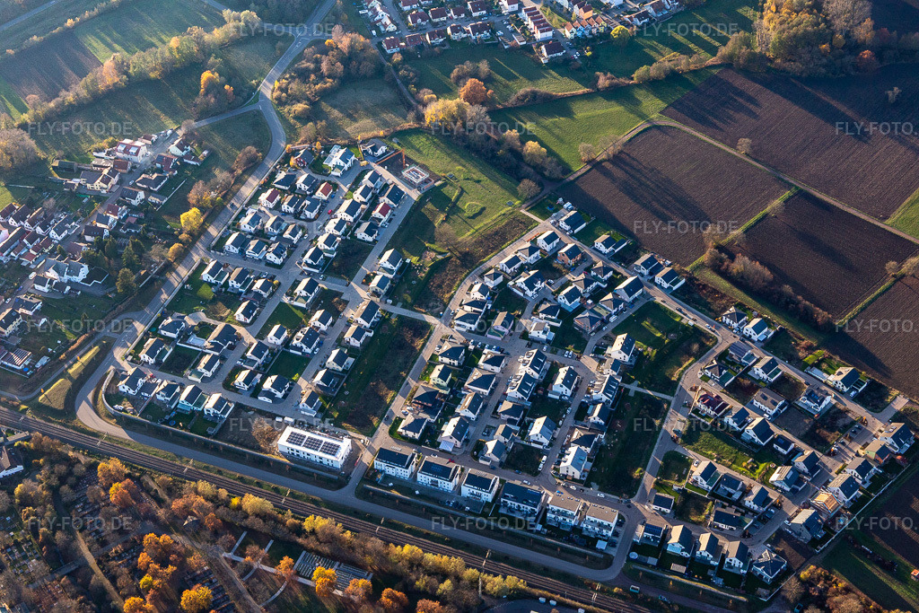 Luftbild: Paul Klee Ring in Wörth am Rhein im Bundesland Rheinland-Pfalz in Deutschland. Foto: IMG_124012.jpg vom 21.11.2020 durch Werner Riehm/FLY-FOTO.de