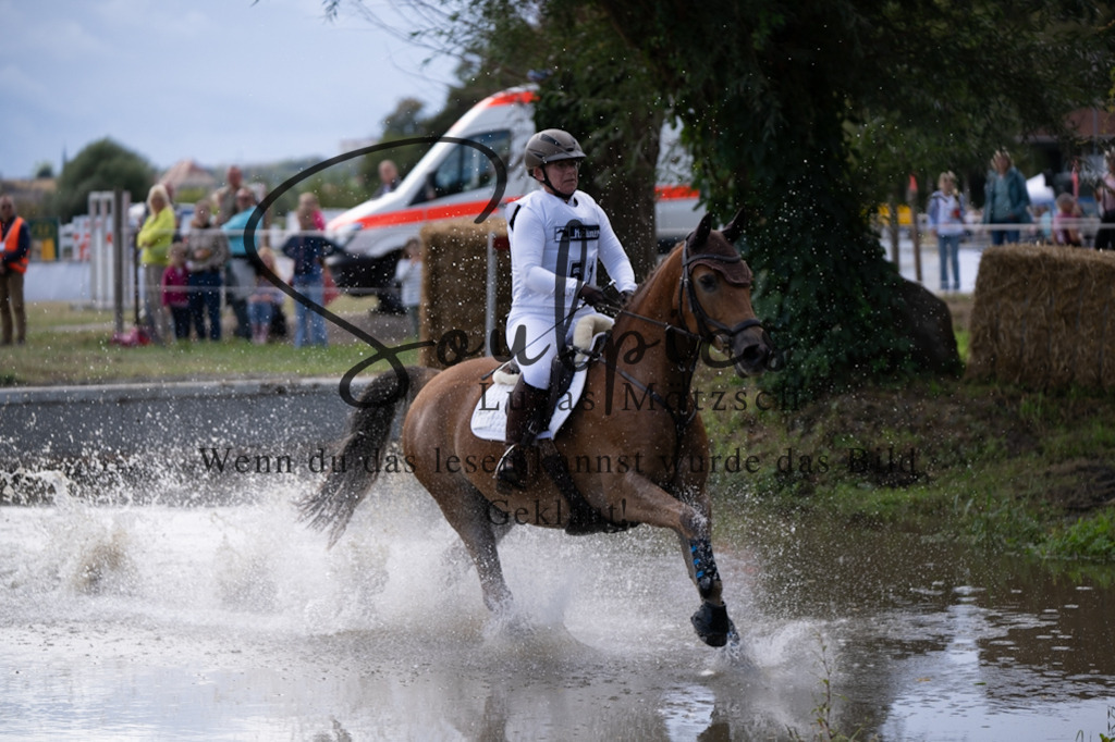 A7V01120 | Pferdefotograf