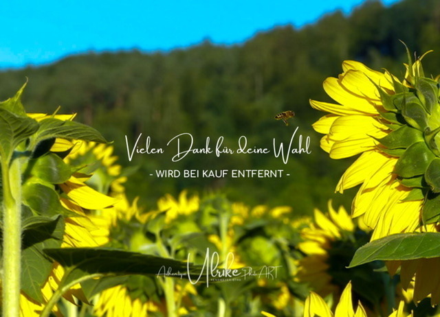 IMG_6402 | Fotografie für »mehr« Persönlichkeit ... von Anfang an - authentisch natürlich emotional - Geburt, Kinder und Familie, Entrepreneure, Kreative, Kamera-Scheue, Interessierte. Mit Empathie und ohne Posen erstelle ich Bilder mit "Wieder-Erkennungs-Gefühl".