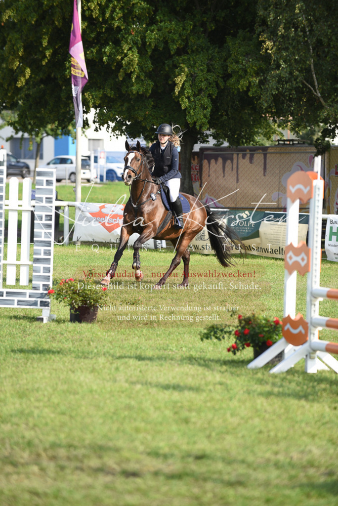 DSC_8629 | Pferde- und Turnierfotografie in Westsachsen. Pferdeportraits, Auftragszeichnungen und intuitive Kunst.
