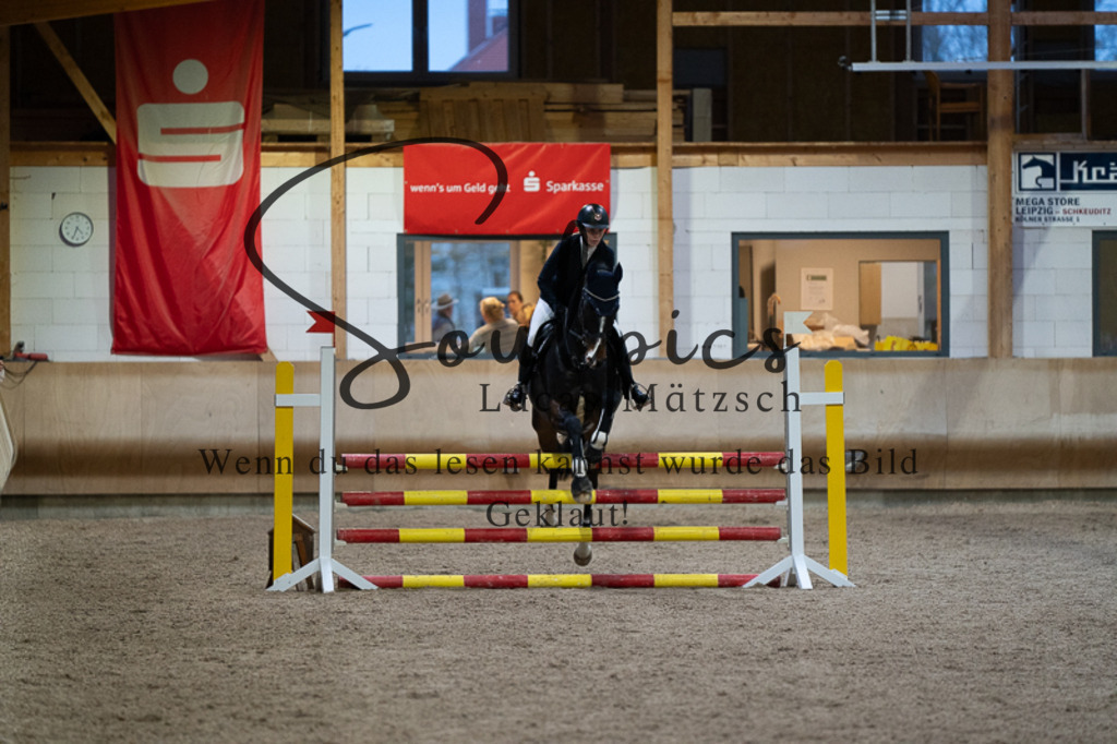 A7V03229 | Pferdefotograf