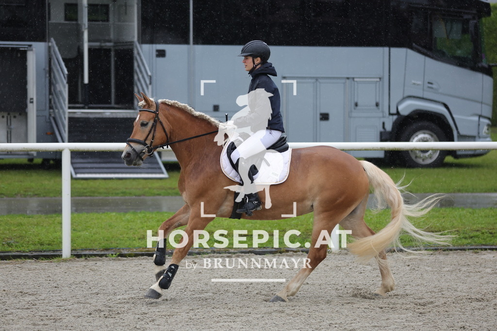 0P6A7630 | Willkommen bei Brunnmayr - Design & Fotografie – Ihrem Spezialisten für Reitturniere und Pferdeveranstaltungen in Oberösterreich, Salzburg und Bayern! Seit über 17 Jahren sind wir leidenschaftlich dabei.