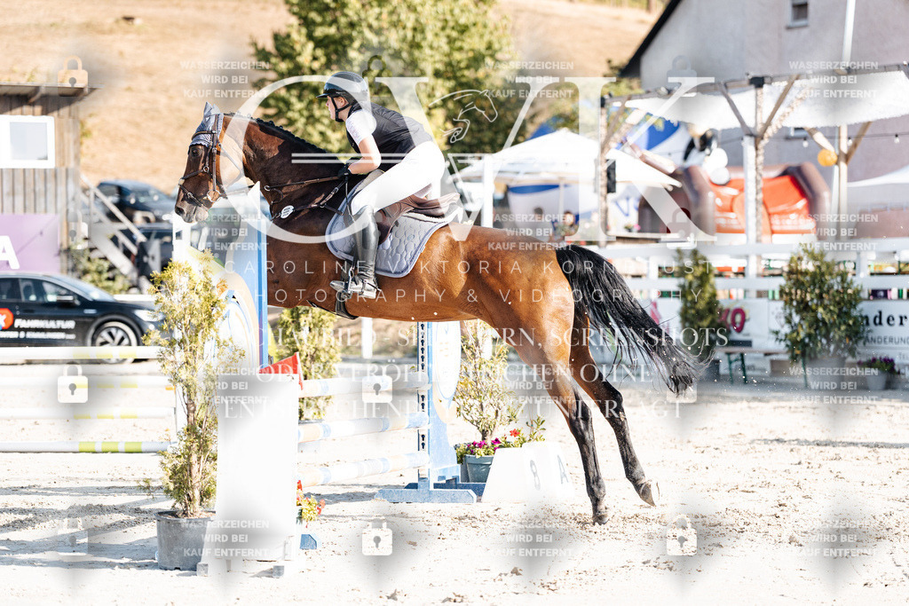 CK909619 | Turnierfotografie Pferdefotografie Trier Rheinland-Pfalz Pferdesport Reitsport Tierfotografie Sportfotografie Pferdevideo Pferdevideografie Equestrianvideography equestrianphotography  - Realisiert mit Pictrs.com