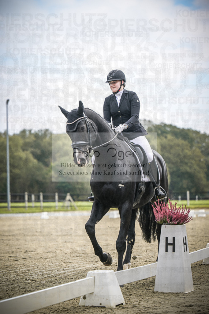 DOS_B567 | Entdecke hochwertige Reitturnierfotos von Foto Oger. Professionell, emotional und authentisch – jetzt Lieblingsmomente im Shop bestellen.Deutschlandweite Turnierfotografie. - Realisiert mit Pictrs.com