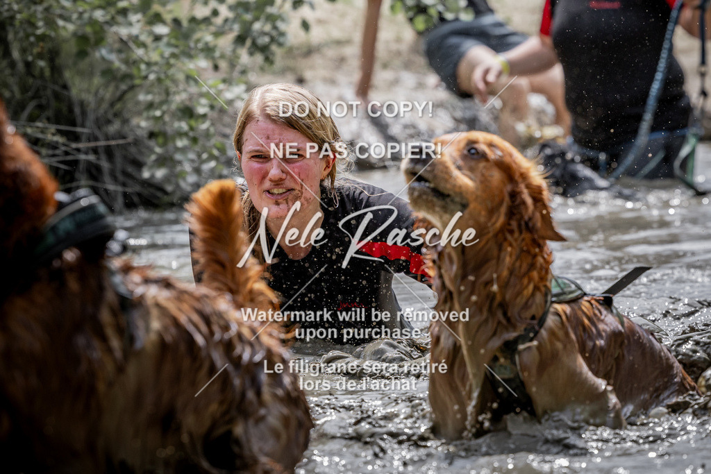 nelerasche_so1230-1300_344 | nelerasche