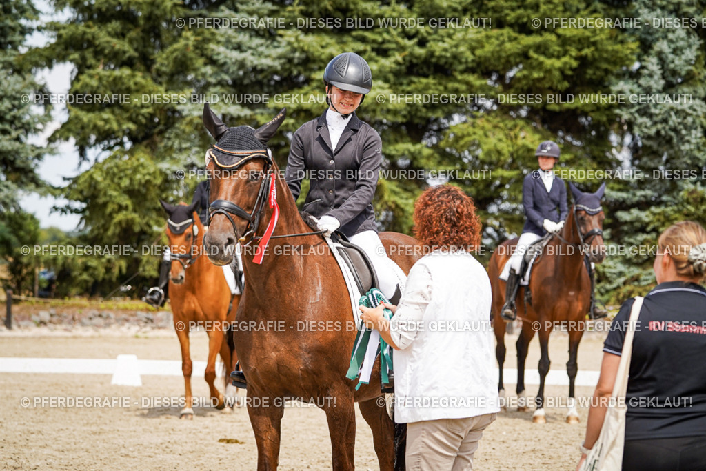 DSC04537 | Pferdegrafie