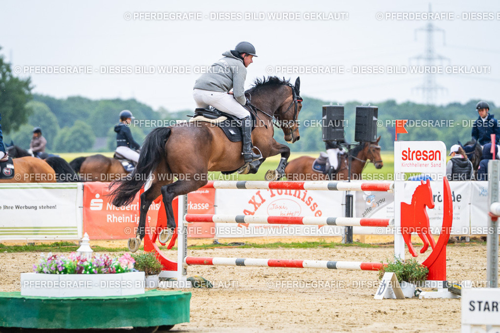 DSC09140 | Pferdegrafie