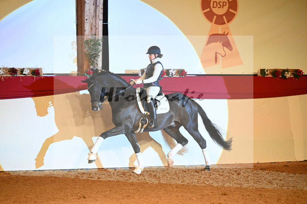 Montgomery_1234904 | hf-fotografie - Realisiert mit Pictrs.com