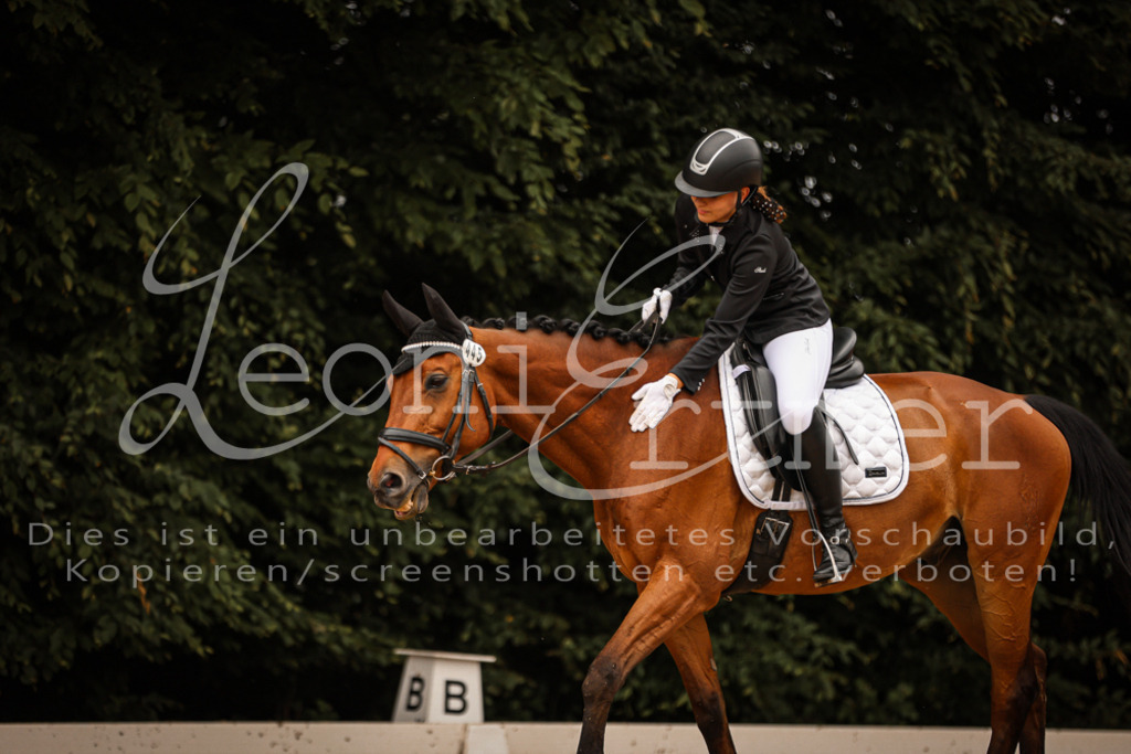 DoDrE00128 | Leoni Ertmer Photography - Realisiert mit Pictrs.com