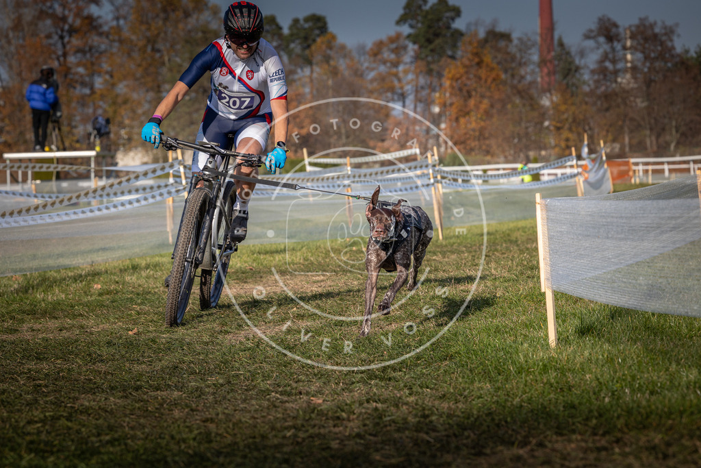 CaniXpix_0L8A6993 | Hundefotografie, Tierfotograf, Pfotenfotografie, Fotoshooting Hund, Hunde Portrait, Hundesport, Hundeportraits, Heideshooting, Hunde, Sportfotograf, Hundefotograf, Turnierhundsport, THS,  - Realisiert mit Pictrs.com