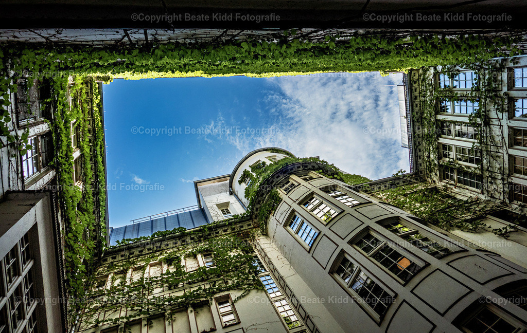 P2000883 | beatekidd-fotografie - Realisiert mit Pictrs.com