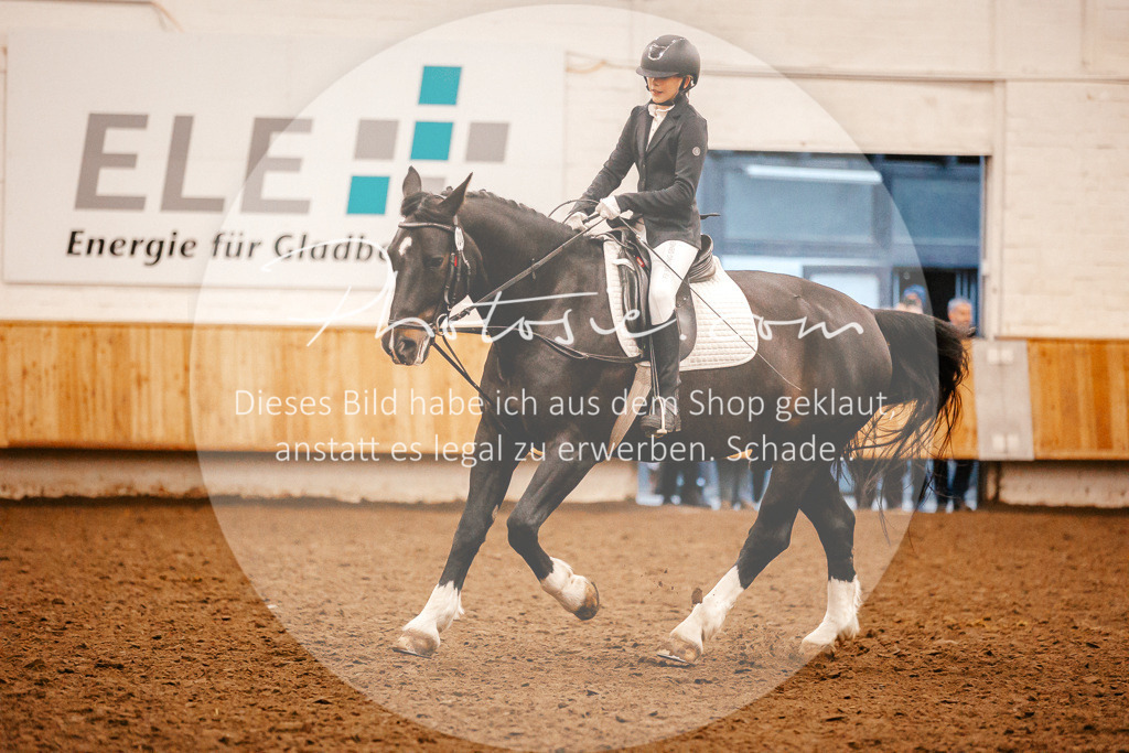 3I6A3636 | Stimmungsvolle Portraits und Reitsportfotografie im Ruhrgebiet und im Münsterland.

Pferdefotografie, Hundefotografie, Tierfotografie, Reportagen, Portraits von Tier und Mensch, Turnierfotografie in Bochum, Recklinghausen, Marl, Haltern am See, Dülmen.. - Realisiert mit Pictrs.com