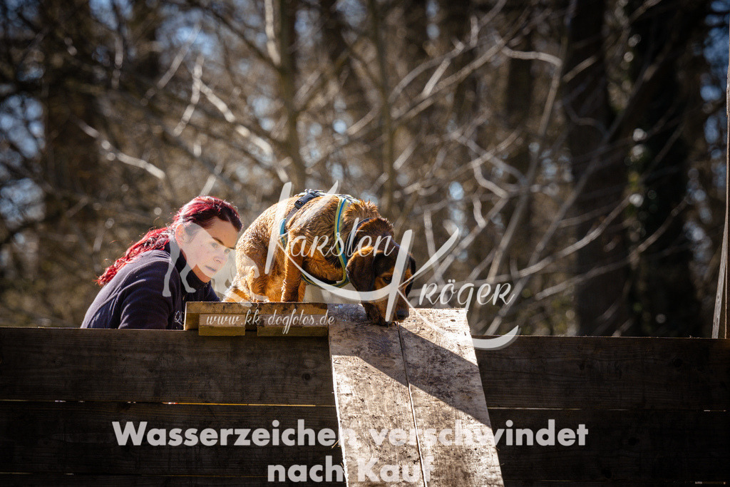 0939_ZZ96519 | kk-dogfotos