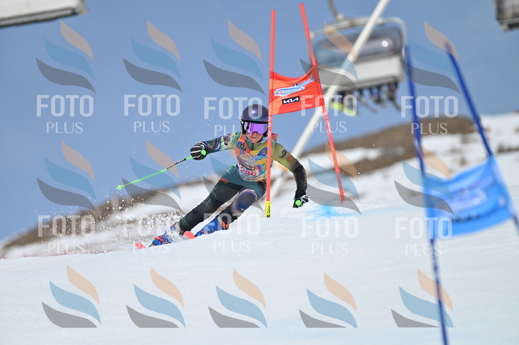 BGV_2519 | holidayphoto