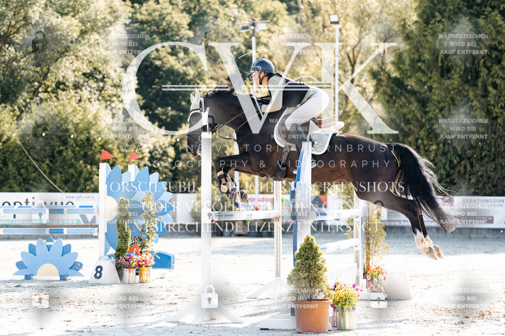 CK901655 | Turnierfotografie Pferdefotografie Trier Rheinland-Pfalz Pferdesport Reitsport Tierfotografie Sportfotografie Pferdevideo Pferdevideografie Equestrianvideography equestrianphotography  - Realisiert mit Pictrs.com