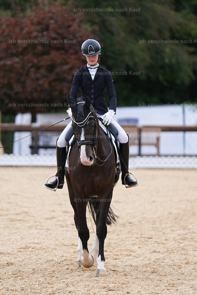 3-147-Dressur M_-Marixx-1887 | working equitationturnier fotograf videograf stoibphotography marixx film working equitation deutschland reitsport turnierfotografie eventfotografie equestrian events