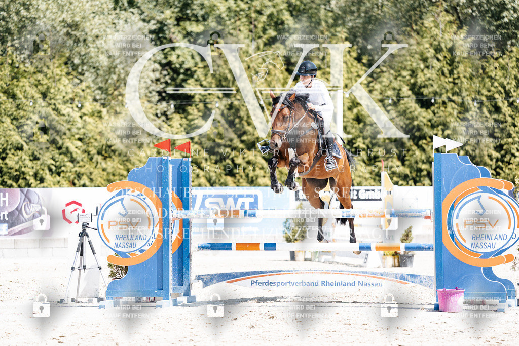 CK900266 | Turnierfotografie Pferdefotografie Trier Rheinland-Pfalz Pferdesport Reitsport Tierfotografie Sportfotografie Pferdevideo Pferdevideografie Equestrianvideography equestrianphotography  - Realisiert mit Pictrs.com