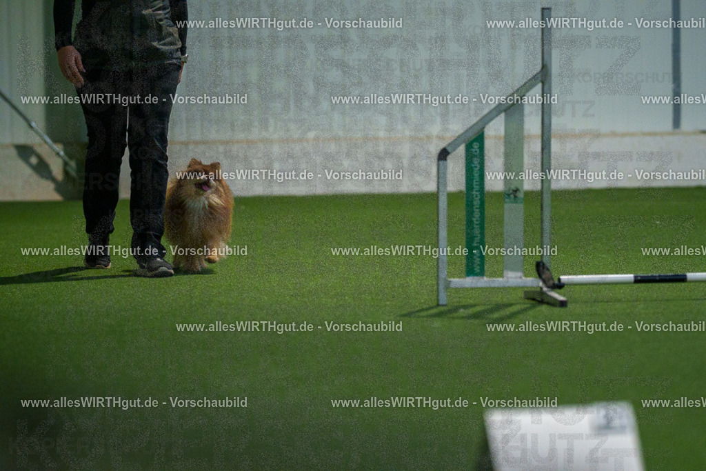 7R506804 | Professionelle Tierfotografie in Mönchengladbach von Daniel Wirth (allesWIRTHgut). Liebevolle & natürliche Bilder von Hunden & Katzen für unvergessliche Erinnerungen.