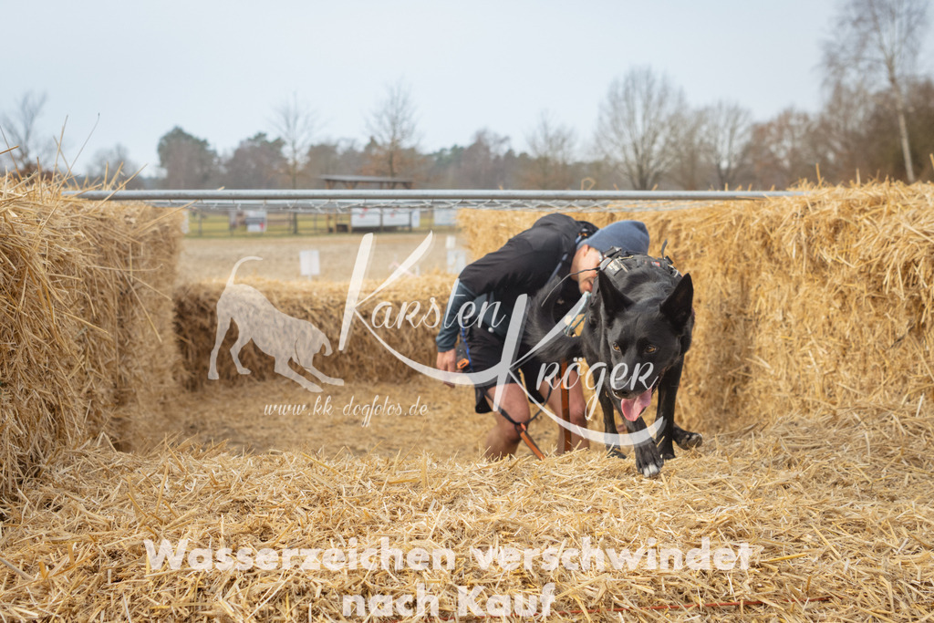 1012_ZZ92988 | kk-dogfotos