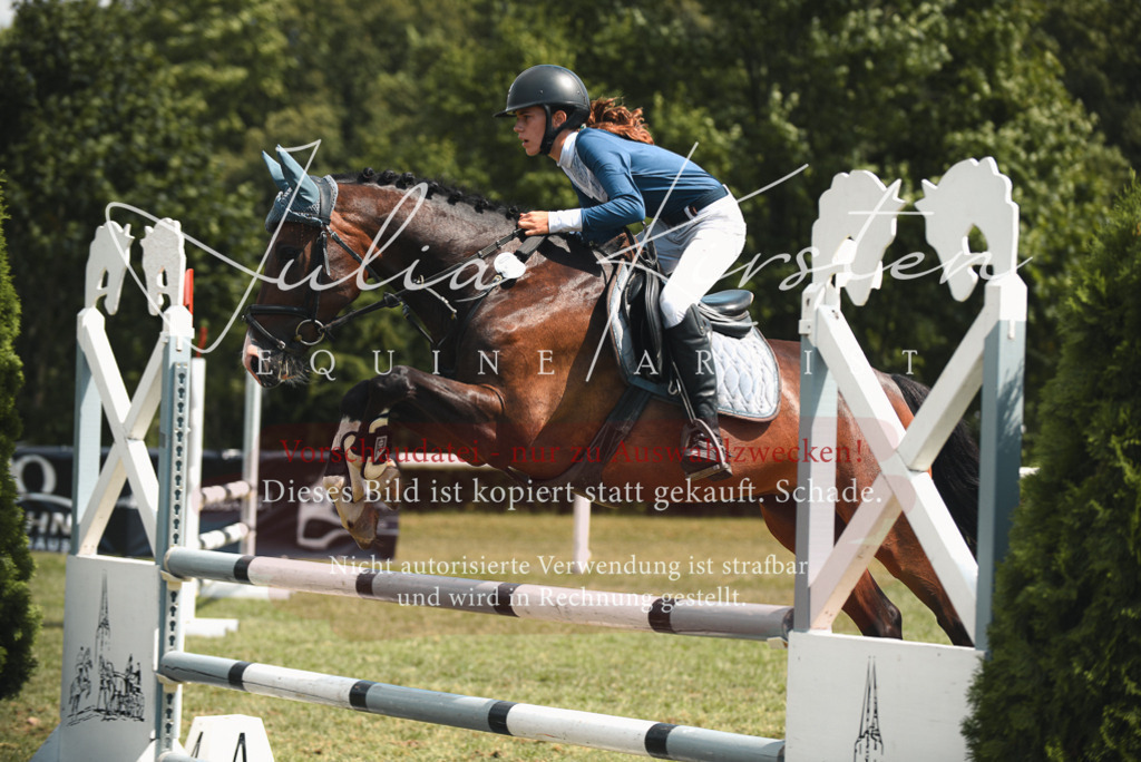 DSC_6766 | Pferde- und Turnierfotografie in Westsachsen. Pferdeportraits, Auftragszeichnungen und intuitive Kunst.