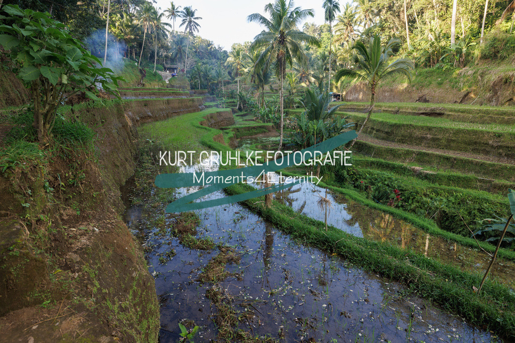 230720-1377 | onlinegalerie und Fotoshop Kurt Gruhlke Fotograf Berlin
Hochzeitsfotograf Eventfotograf Portraitfotografie
 - Realisiert mit Pictrs.com