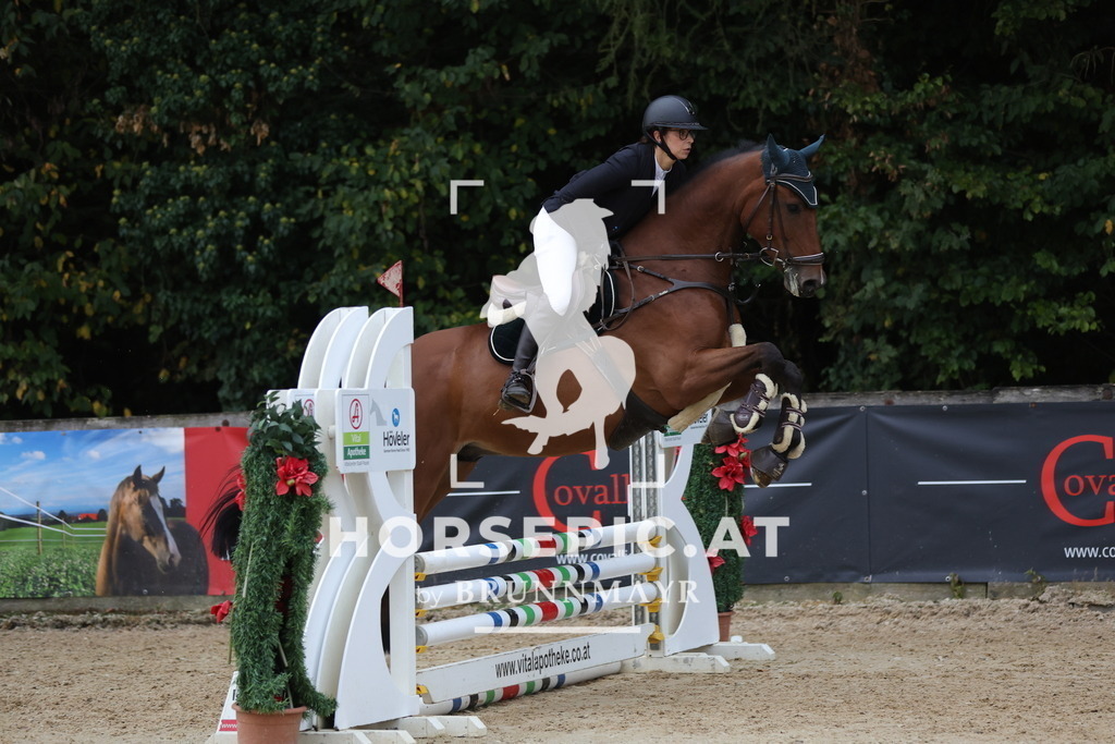 0P6A4909 | Willkommen bei Brunnmayr - Design & Fotografie – Ihrem Spezialisten für Reitturniere und Pferdeveranstaltungen in Oberösterreich, Salzburg und Bayern! Seit über 17 Jahren sind wir leidenschaftlich dabei.