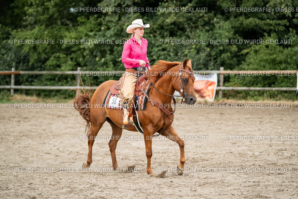 DSC02153 | Pferdegrafie