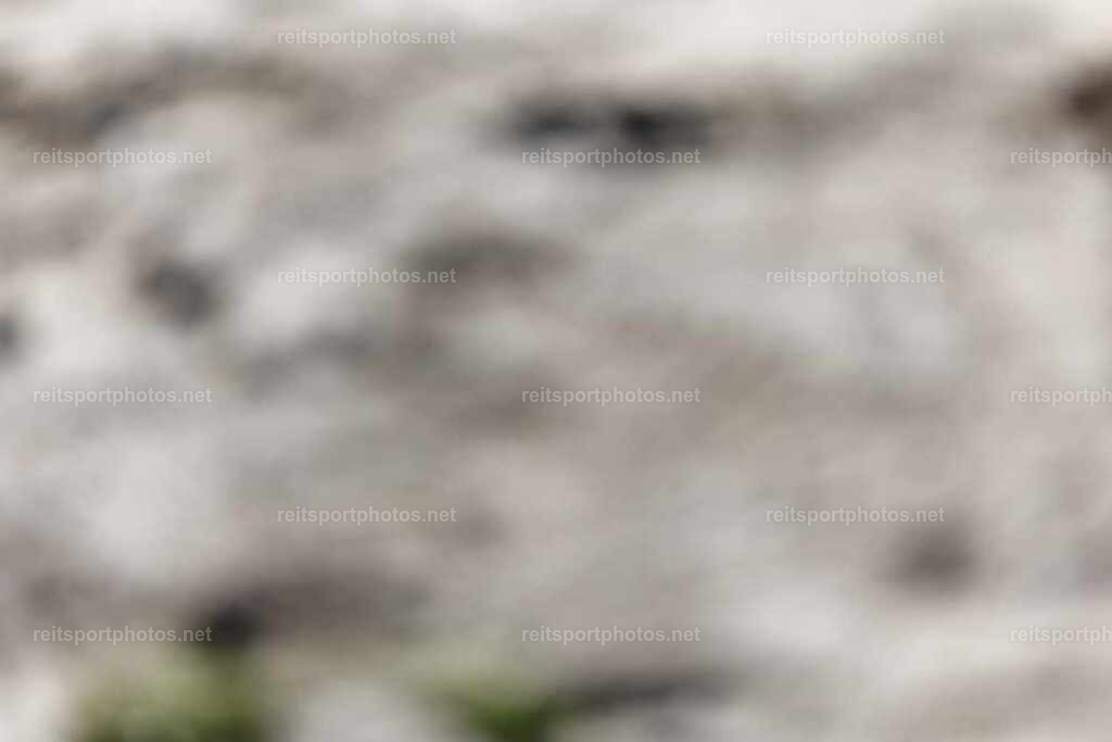 JoYaR3_Heidehof_01016 | JoYa Fotografie - Realisiert mit Pictrs.com