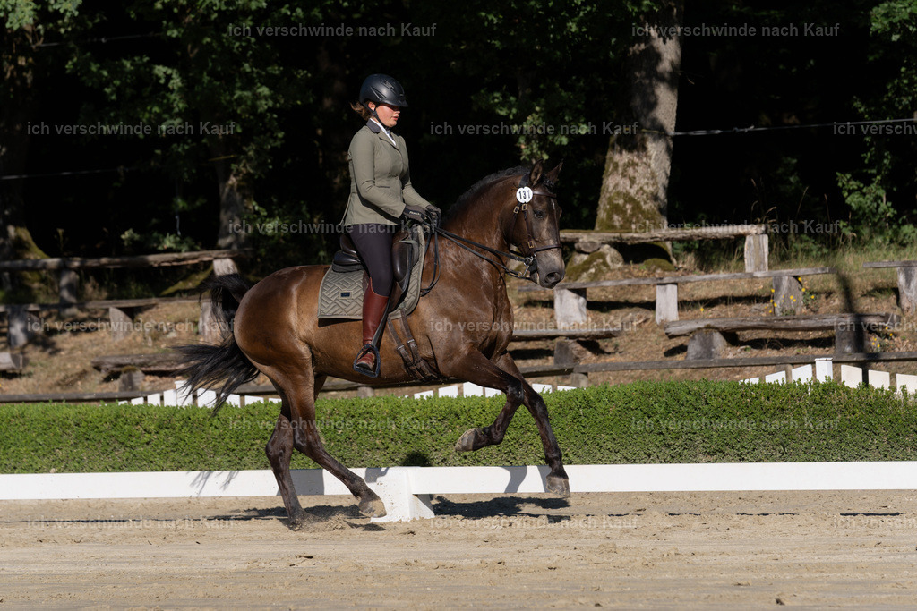 WM_DR_131_sinafilmart_IN04389 | working equitationturnier fotograf videograf stoibphotography marixx film working equitation deutschland reitsport turnierfotografie eventfotografie equestrian events