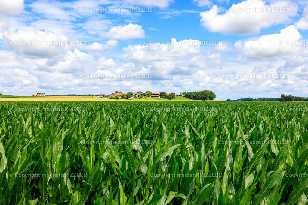 _J3A8032 | medienkrizzler - Realisiert mit Pictrs.com