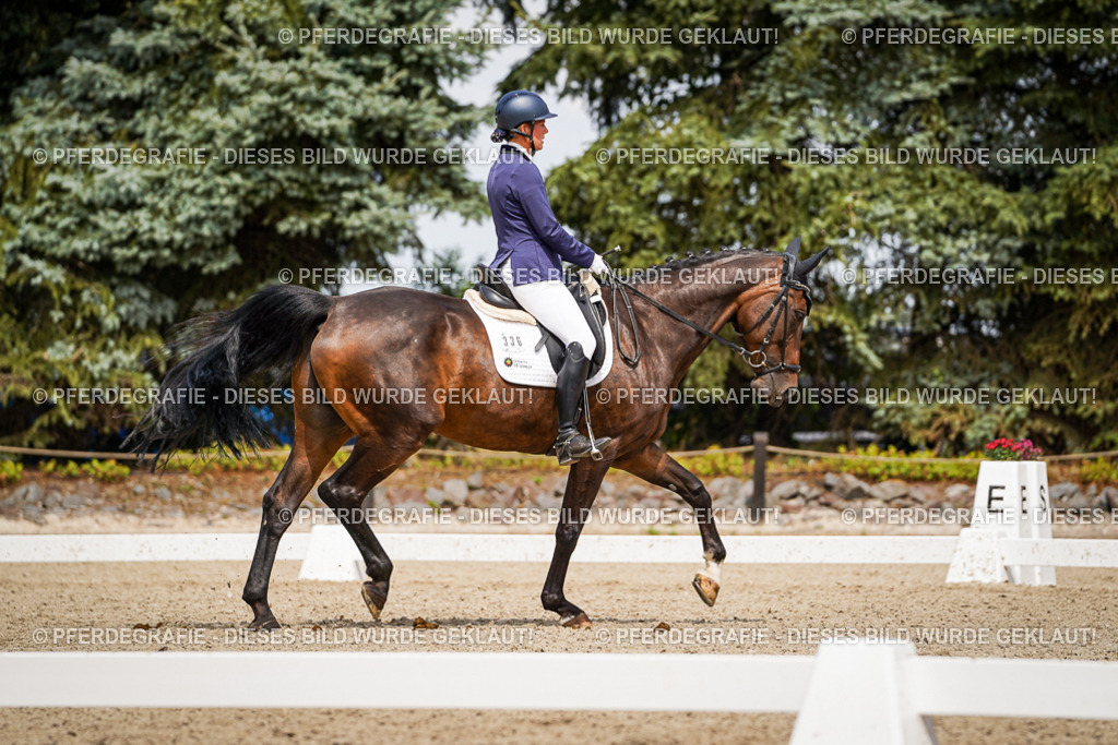 DSC03949 | Pferdegrafie