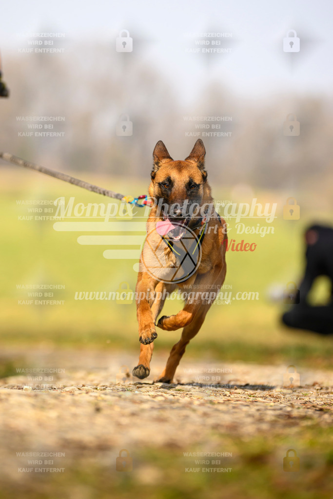 MompixPhotography_6ReiatRennen2026_SA_HappyDog-58 | PayLife