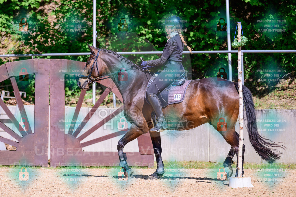 01052026-Giesenbach-02-Stiltrail-0457 | Fokus Hufschlag Fotografie - Realisiert mit Pictrs.com