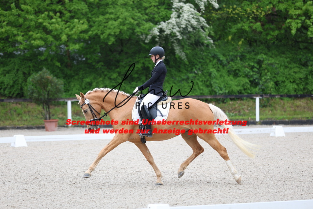 A40A7049 | lmwpictures - Realisiert mit Pictrs.com