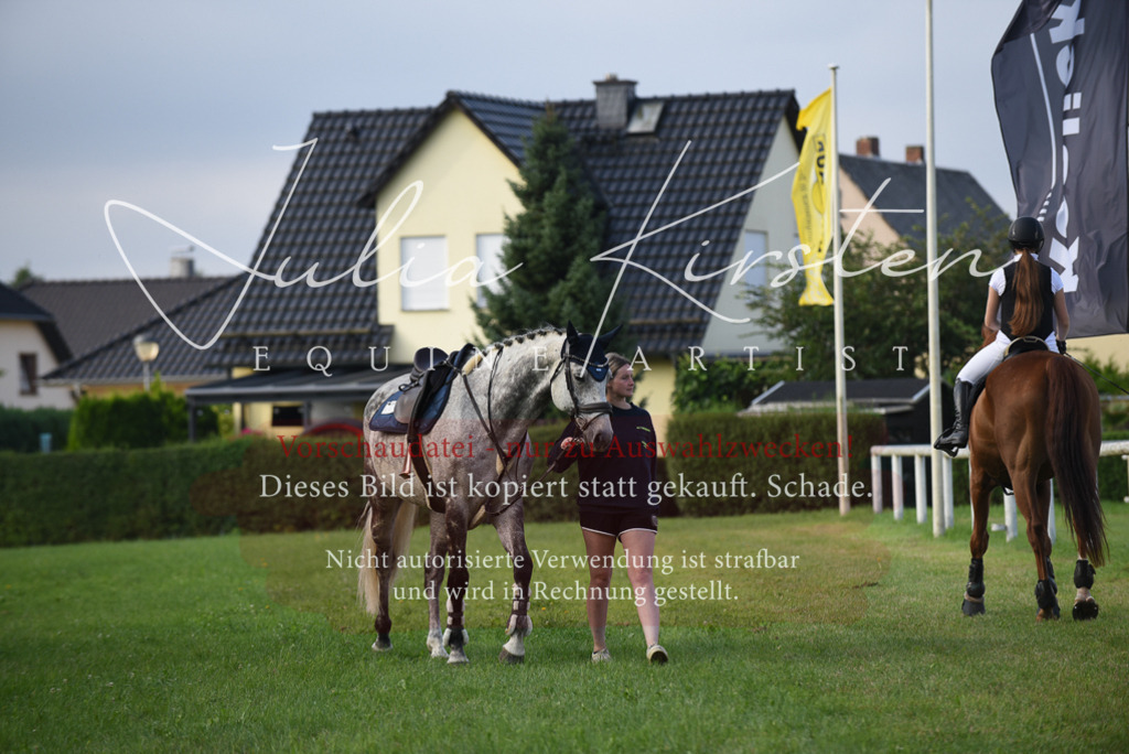 DSC_8557 | Pferde- und Turnierfotografie in Westsachsen. Pferdeportraits, Auftragszeichnungen und intuitive Kunst.