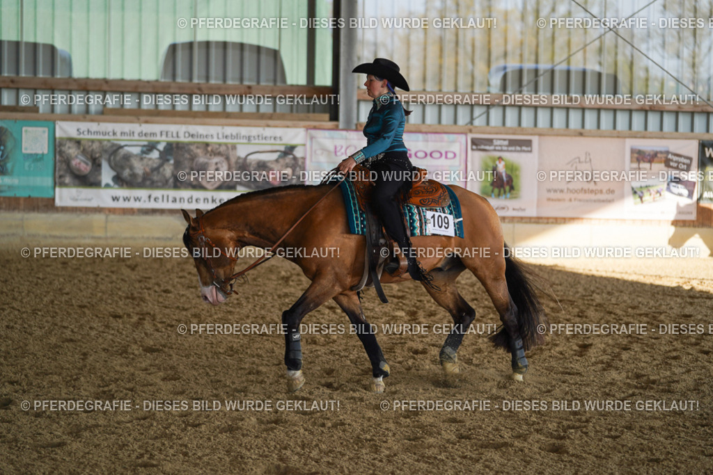 DSC09495 | Pferdegrafie