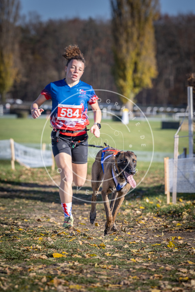 CaniXpix_DV3A9129 | Hundefotografie, Tierfotograf, Pfotenfotografie, Fotoshooting Hund, Hunde Portrait, Hundesport, Hundeportraits, Heideshooting, Hunde, Sportfotograf, Hundefotograf, Turnierhundsport, THS,  - Realisiert mit Pictrs.com