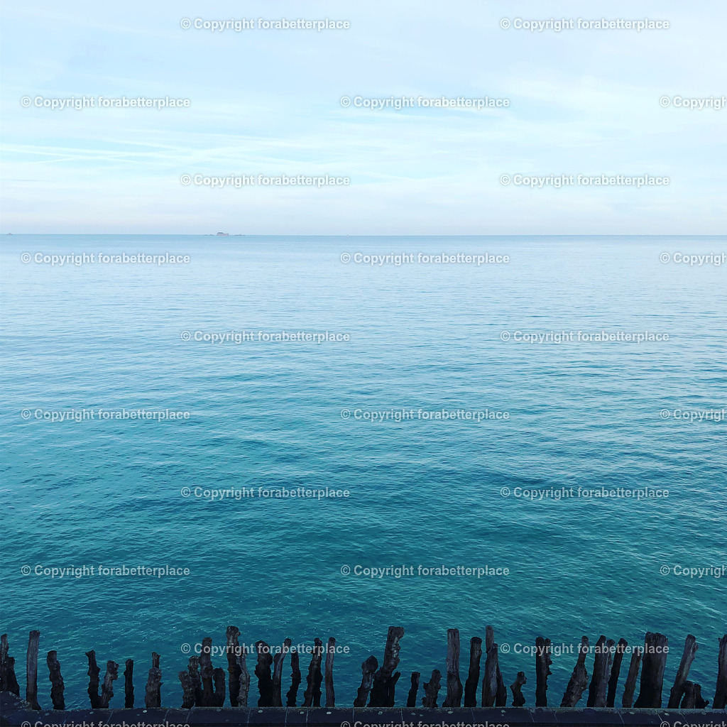 IMG_7462 | ForABetterPlace - Realisiert mit Pictrs.com