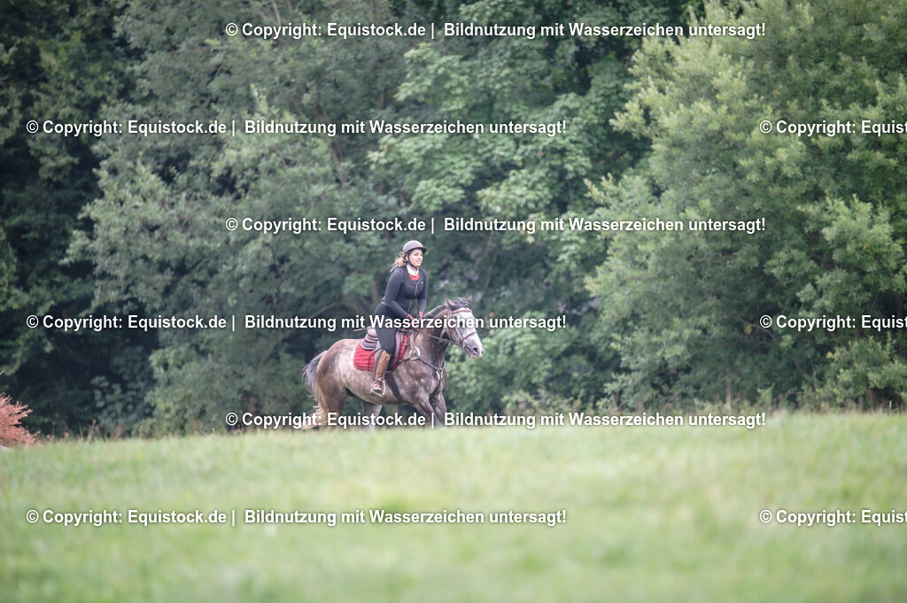 20250726_Vielseitigkeitslehrgang-Marbach_0276 | Foto: Thomas Hartig