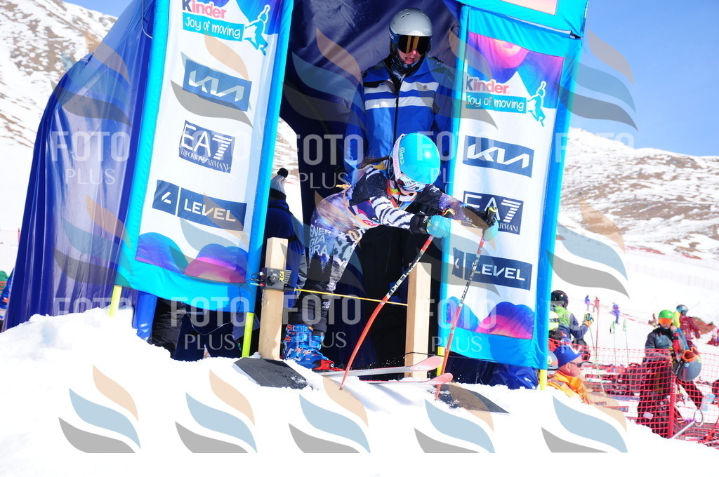 DSC_4369 | holidayphoto