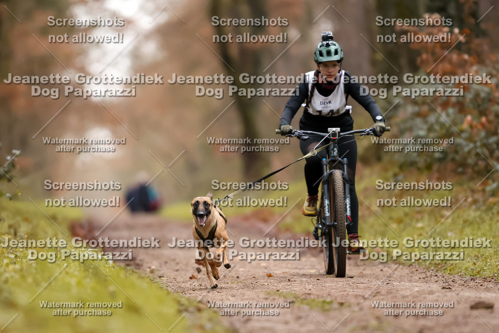 Dog Paparazzi - Speedhunter Mannheim  2025-39 | Dog Paparazzi Jeanette Grottendiek Fotografie & Videografie