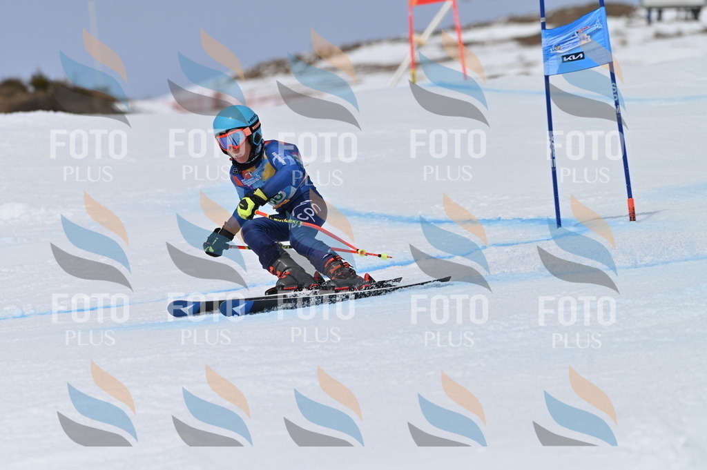 BGV_5309 | holidayphoto