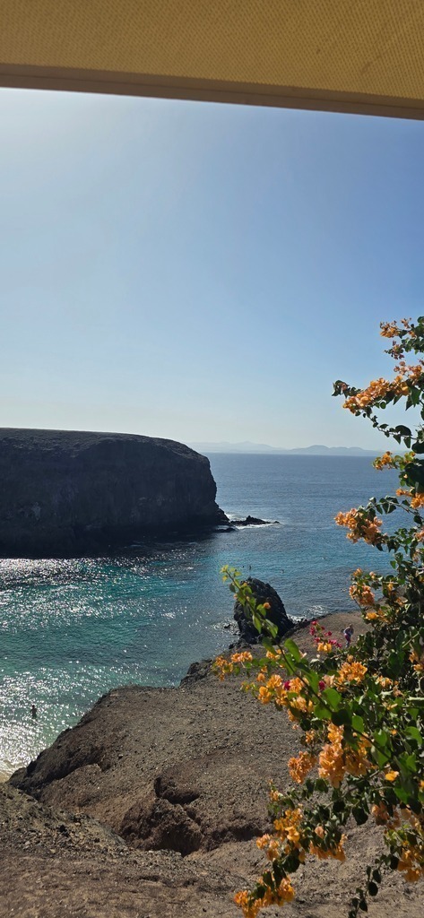 20241202_125308 | Heilkarten - Realisiert mit Pictrs.com