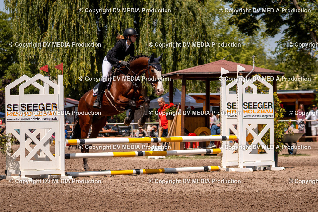 Eppelheim Tag 3-422 | dv-media-shop - Realisiert mit Pictrs.com