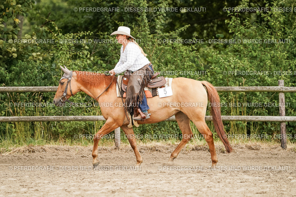 DSC08935 | Pferdegrafie