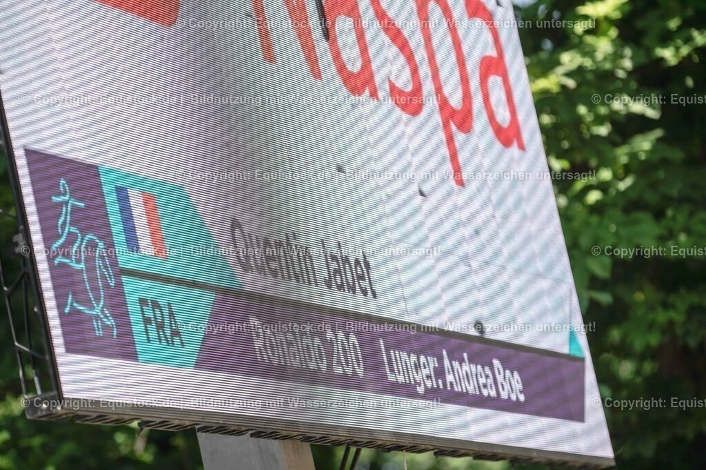 20230528_Voltigieren_NASPA_0055 | equistock