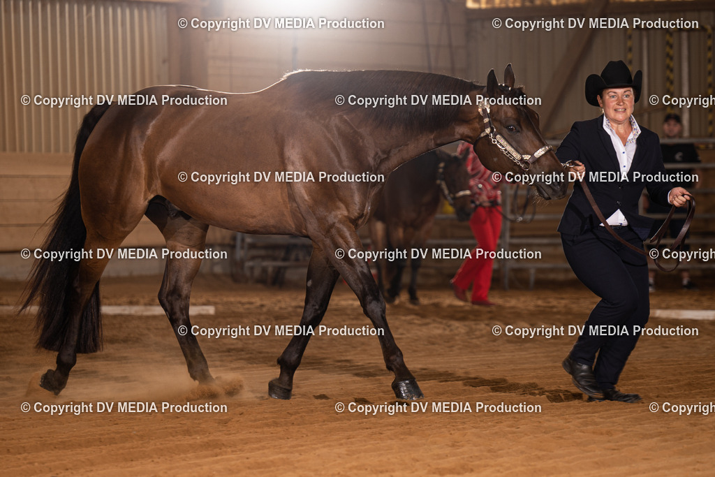 NID00031 | dv-media-shop - Realisiert mit Pictrs.com