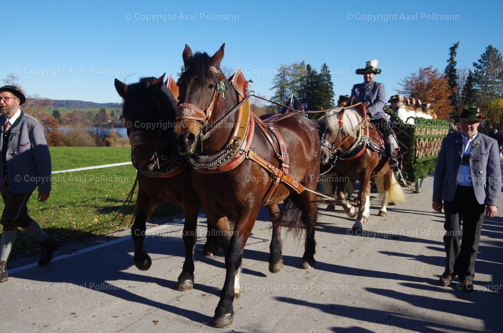 IMGP8319 | fotografiert von Axel PollmannLeonhardi Wallfahrt Benediktbeuern und Murnau, Fronleichnam, Fasching, Landschaft im Loisachtal und Benediktbeuern  - Realisiert mit Pictrs.com
