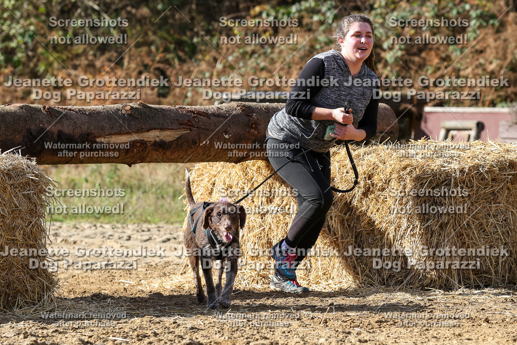 Dog Paparazzi - Strongdog 10-25-4906 | Dog Paparazzi Jeanette Grottendiek Fotografie & Videografie - Realisiert mit Pictrs.com